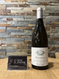 photo Santenay Vignes Denses Blanc 2023 Domaine Jean-Marc Vincent