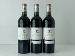 photo Pape Clement Pessac Leognan 2006