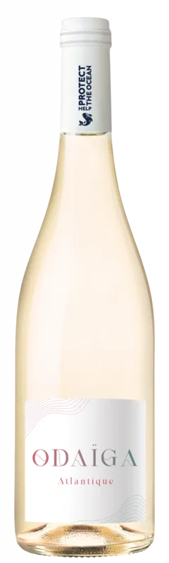 vue du vin Odaïga Blanc 2024