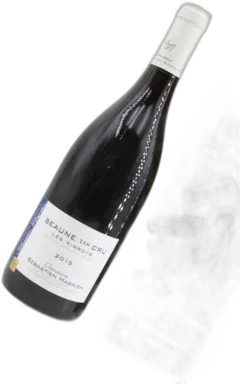 vue du vin Beaune 1er Cru " les Aigrots " Sébastien Magnien 2015