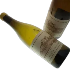 photo Anne et Jean-François Ganevat Arbois Savagnin le Clos 2020