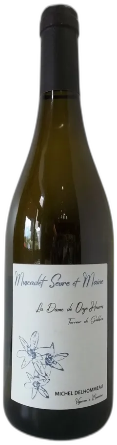 capture du vin Muscadet Sèvre et Maine Sur Lie Delhommeau Michel la Dame de Onze Heures