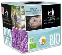 illustration du vin Bib de Rosé Léonie Côteaux d’Aix-en-Provence Bio 🌿