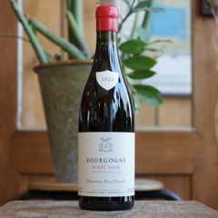 photo Bourgogne Pinot Noir 2022 Paul Pillot