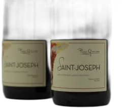 photo du vin Pierre Gaillard Saint-Joseph Rouge 2021