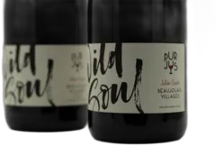 image du vin Domaine Julien Sunier Beaujolais Villages Wild Soul 2022