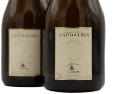 photo Champagne de Sousa Grand Cru Cuvée des Caudalies 2010