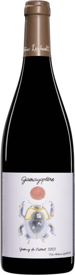 photo Domaine Antoine Lienhardt Coteaux Bourguignons 