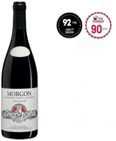 vue du vin Domaine Jean-Ernest Descombes, Morgon Côte du py 2020