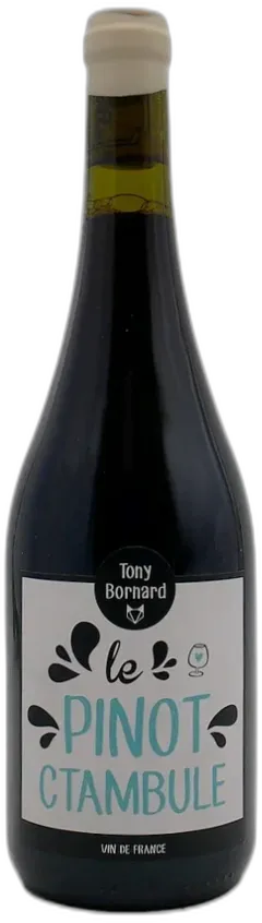 photo le Pinot Ctambule 2022 Domaine Bornard