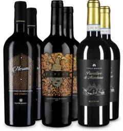 photo Offre Wine in Black Primitivo Premium