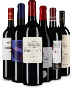 photo Wine in Black Tour de Bordeaux