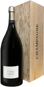 vue du vin Mathusalem Champagne le Brun de Neuville Côte Blanche Blanc de Blancs Bois