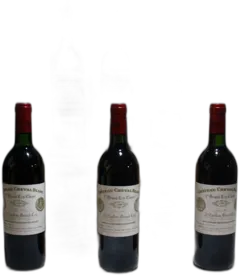 photo Cheval Blanc 1990 la