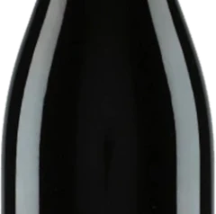 photo Gevrey-Chambertin 2022 Domaine Henri Magnien