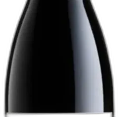 photo Trentino Pinot Nero Doc 2022 Cantina Rotaliana