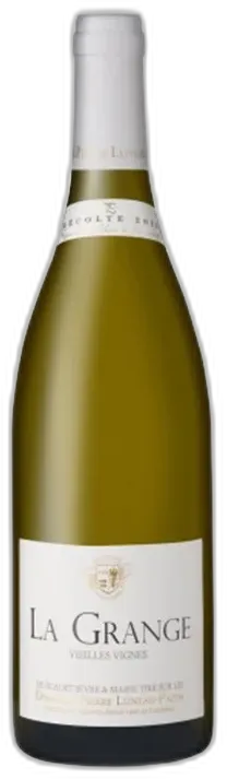 photo Muscadet 