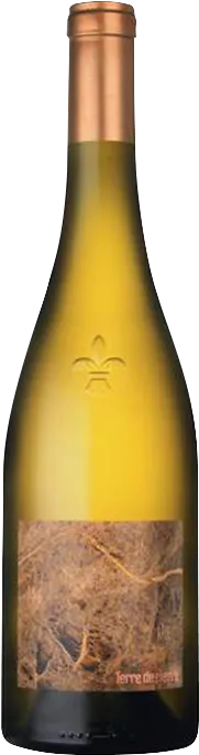 photo Muscadet 
