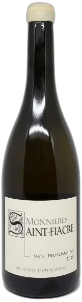 vue du vin les Vignes Saint Vincent Michel Delhommeau Monnières-Saint Fiacre 2020