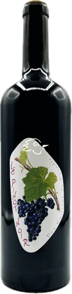 photo Pinot Noir 2022