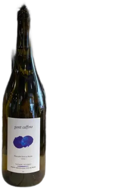 image du vin Pont Caffino Muscadet Sèvre et Maine