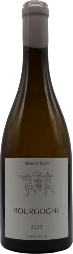 vue du vin Bourgogne Blanc 2022 Benoit Ente