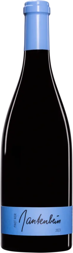 photo Pinot Noir