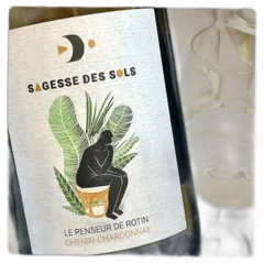 photos du vin le Penseur de Rotin 2024 Bio Loire Domaine Sagesse des Sols