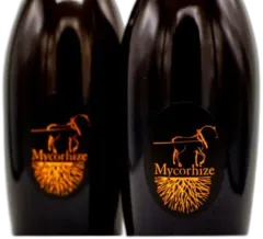 photo Champagne de Sousa Grand Cru Extra-Brut Mycorhize V18