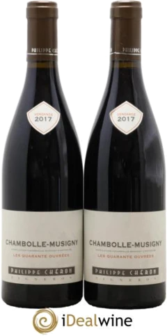 photo Chambolle-Musigny les Quarante Ouvrées