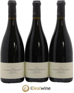 photo Chambolle-Musigny 1er Cru les Borniques