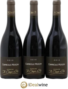 photo Chambolle-Musigny Chopin et Fils 2018