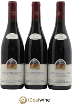 photo Nuits-Saint-Georges 1er Cru les Chaignots Mugneret-Gibourg