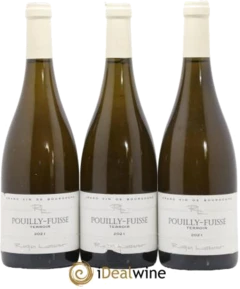 photo Pouilly-Fuissé Terroir