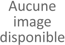 photo Saint-Nicolas de Bourgueil Domaine du Fondis L. Jamet