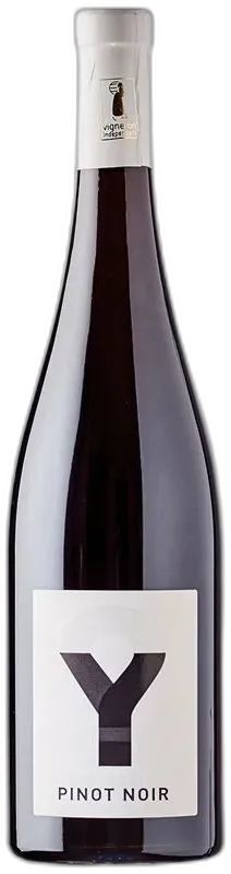 photo Pinot Noir Génération y Domaine Specht