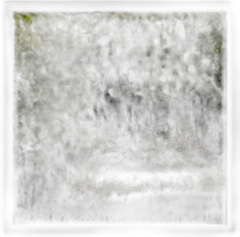 vue du vin Chateau le Destrier 2022 Saint Emilion