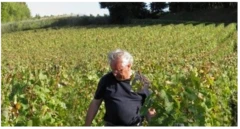 photo Petit Renouil