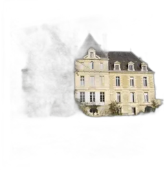 photo Château de Respide Callipyge 2020 Graves Rouge