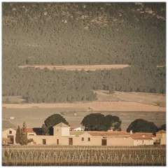 photo Joven 1707 Tinto