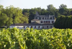 photo le Dauphin d' Olivier 2016 Pessac Léognan