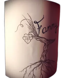photo Château Côtes de Cassagne Bordeaux Supérieur Cuvée Fanny