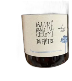 image du vin Laurence & Rémi Dufaitre Côte de Brouilly