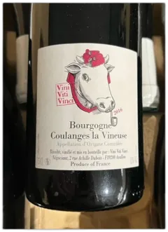photo Vini Viti Vinci Bourgogne Coulanges le Vineuse