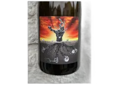 photo du vin Ismael Gozalo/Microbio Vino d’España Blanco Microbio 2022