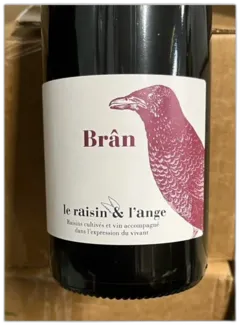 photo le Raisin et l’Ange Brân