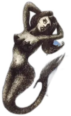 image du vin Vent Debout