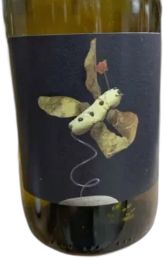 photos du vin Vinyes Singulars Pénédès Xarel.lo Salinar