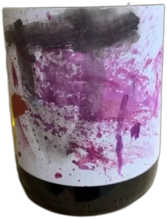 capture du vin Vinyes Singulars Pénédès Xarel.lo Orange l’Autocaravana Del Pelai