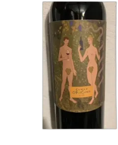 vue du vin Château Meylet Saint Emilion